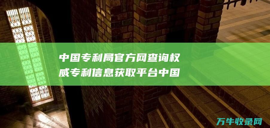 中国专利局官方网查询 权威专利信息获取平台 中国专利局官方网站