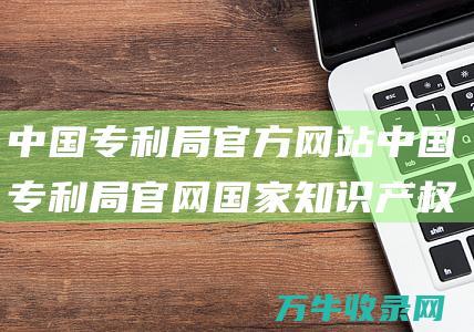 中国专利局官方网站 中国专利局官网 国家知识产权局