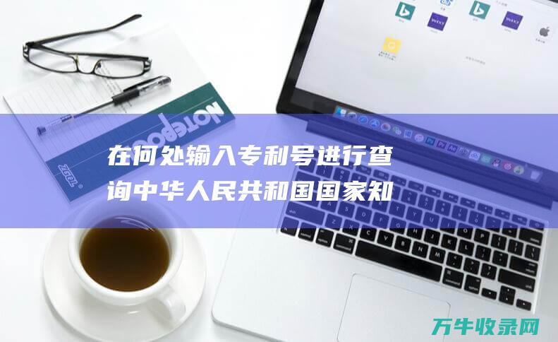 在何处输入专利号进行查询 中华人民共和国国家知识产权局网站 在什么地方输入