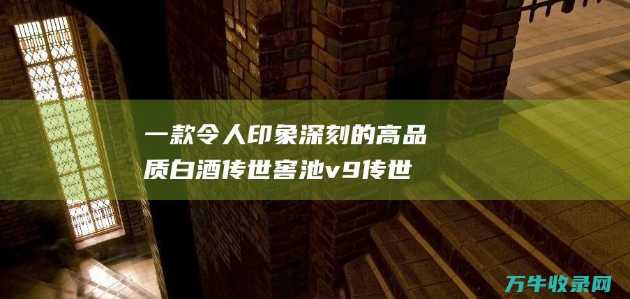 一款令人印象深刻的高品质白酒 传世窖池v9 传世窖池v9真实价格