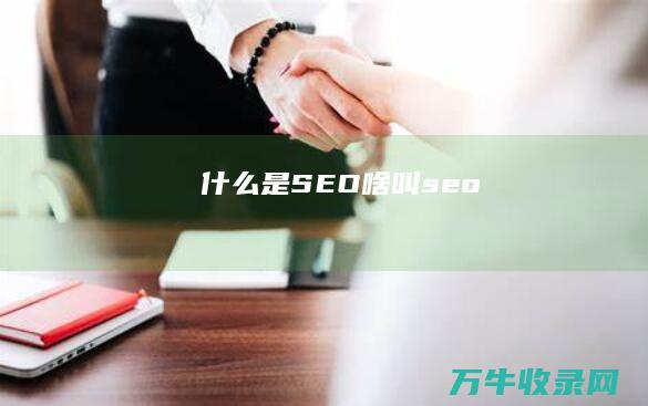 什么是SEO (啥叫seo)