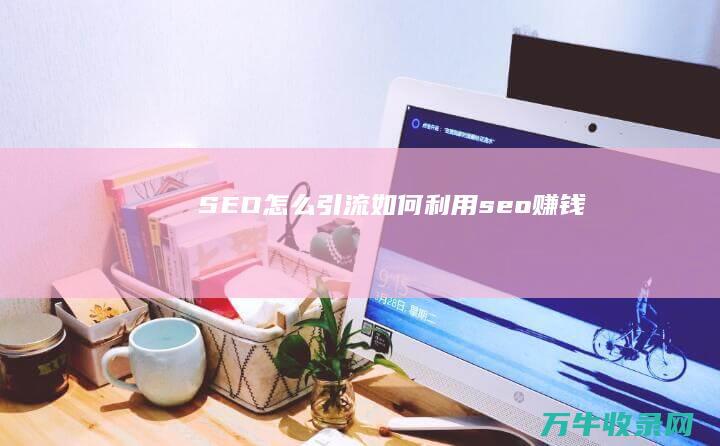 SEO怎么引流 (如何利用seo赚钱)