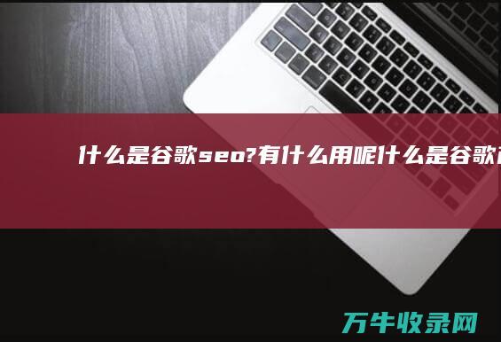 什么是谷歌seo?有什么用呢 (什么是谷歌商店)