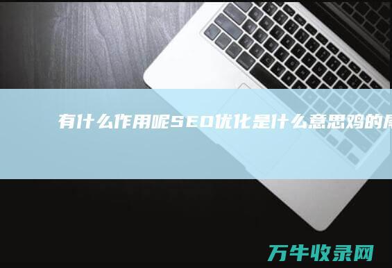 有什么作用呢 SEO优化是什么意思 (鸡的尾巴有什么作用呢)