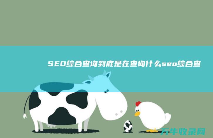 SEO综合查询到底是在查询什么 (seo综合查询)