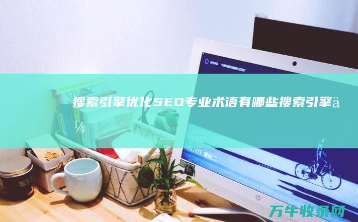 搜索引擎优化 SEO 专业术语有哪些 (搜索引擎优化怎么做)