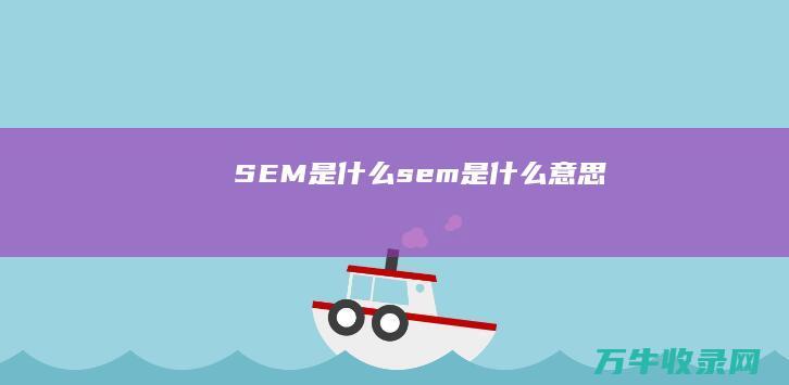 SEM是什么 (sem是什么意思)