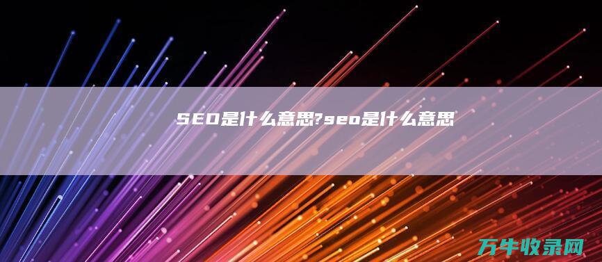 SEO是什么意思? (seo是什么意思)