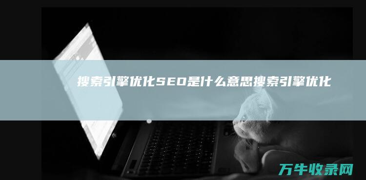 搜索引擎优化 SEO 是什么意思 (搜索引擎优化怎么做)