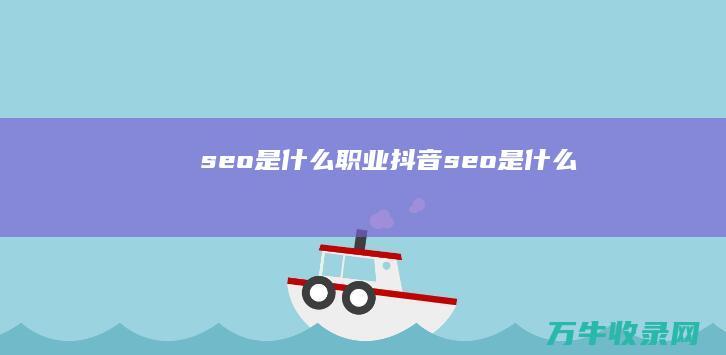 seo是什么职业 (抖音seo是什么)