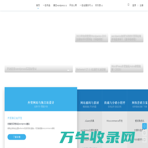 外贸网站建设丨外贸独立站建设丨wordperss建站丨wordpress小程序开发