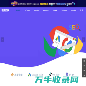 BIBWIN跨境数字化营销服务商