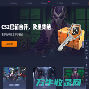 CS2饰品回收