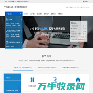 中税通（山东）财税服务有限公司