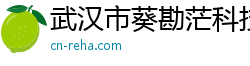 武汉市葵勘茫科技有限公司