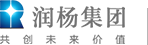 深圳市润迅电话商务有限公司