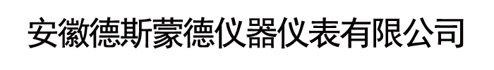 安徽德斯蒙德仪器仪表有限公司