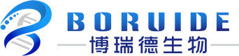 大连博瑞德生物科技有限公司丨博瑞德生物丨大连诺唯赞代理丨大连索莱宝代理丨诺唯赞代理丨索莱宝代理丨大连生化试剂丨大连分子试剂丨大连实验室设备丨大连医疗器械丨大连分子试剂丨大连实验室耗材供应商丨博瑞德