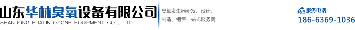 大型臭氧发生器研发生产服务