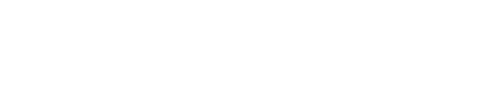 记忆王●人工智能英语