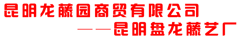 昆明盘龙藤艺厂