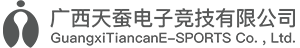 广西天蚕电子竞技有限公司