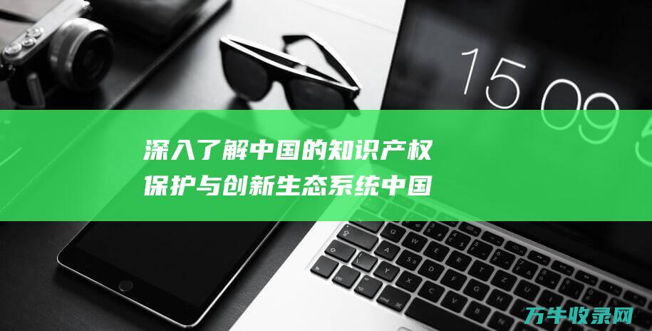 深入了解中国的知识产权保护与创新生态系统 中国专利网 深入了解中国文化英语