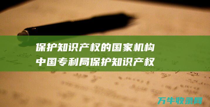 保护知识产权的国家机构保护知识产权