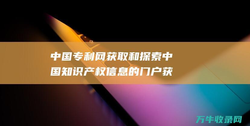 中国专利网 获取和探索中国知识产权信息的门户 获取和探索中的数据