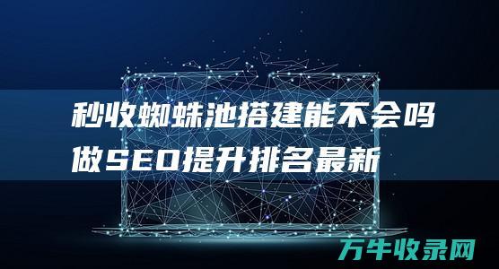 秒收蜘蛛池搭建能不会吗 做SEO提升排名 (最新秒收蜘蛛池出租)