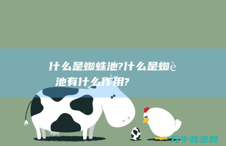 什么是蜘蛛池? (什么是蜘蛛池,有什么作用?)