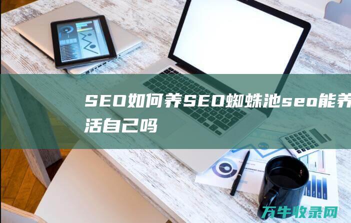 SEO如何养SEO蜘蛛池seo能养活自己吗