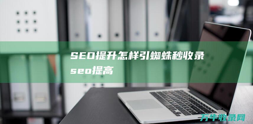 SEO提升 怎样引蜘蛛秒收录 (seo提高)