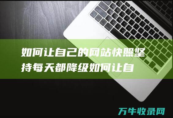 如何让自己的网站快照坚持每天都降级如何让自