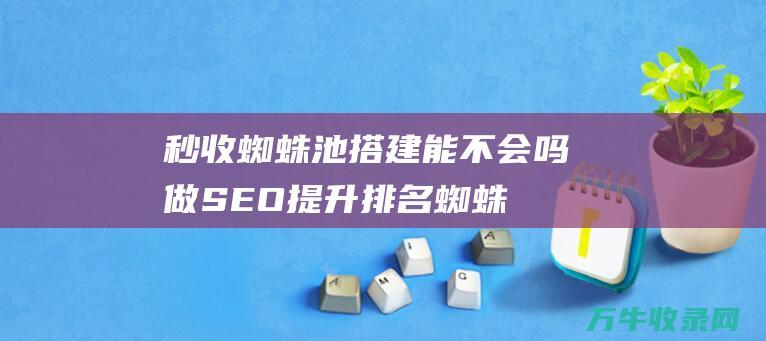 秒收蜘蛛池搭建能不会吗 做SEO提升排名 (蜘蛛池秒收录)