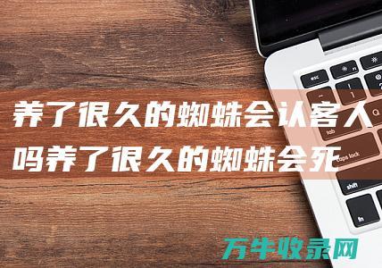 养了很久的蜘蛛会认客人吗 (养了很久的蜘蛛会死吗)