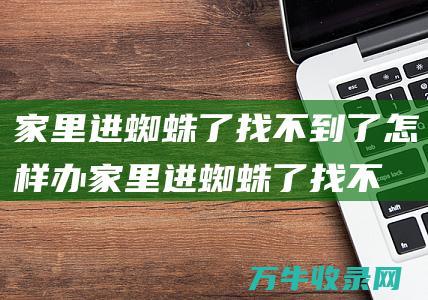 家里进蜘蛛了找不到了怎样办家里进蜘蛛了找不