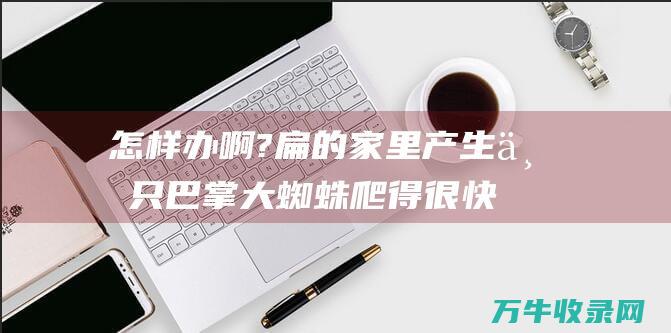 怎样办啊? 扁的 家里产生一只巴掌大蜘蛛 爬得很快 花的 深灰色 (扁瘊怎么去除)