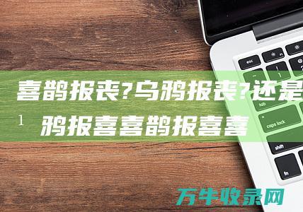 喜鹊报丧??还是乌鸦报喜喜