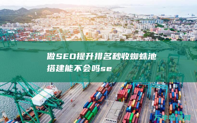 做SEO提升排名秒收搭建能不会吗se