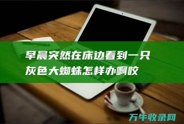 早晨突然在床边看到一只灰色大蜘蛛怎样办啊！咬人吗 有毒吗 中午会不会到床上乱爬啊妈妈 (早晨突然在床上翻身头晕想吐)