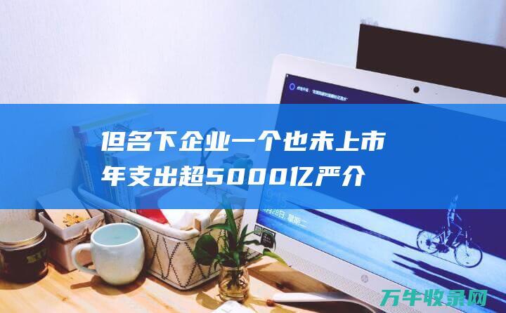 但名下企业一个也未上市 年支出超5000亿 严介和掌控4万亿资产 (名下的企业)