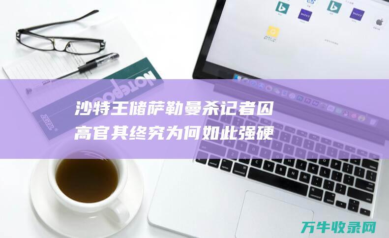 沙特王储萨勒曼杀记者 囚高官 其终究为何如此强硬 发起石油抗争 (沙特王储萨勒曼)