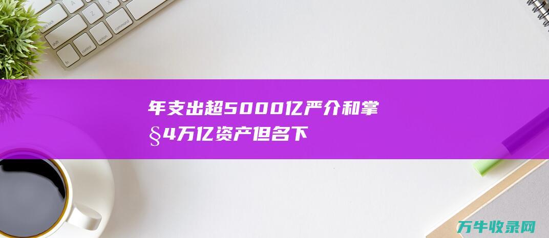 年支出超5000亿 严介和掌控4万亿资产 但名下企业一个也未上市 (年支出超过10万元限额怎么办)