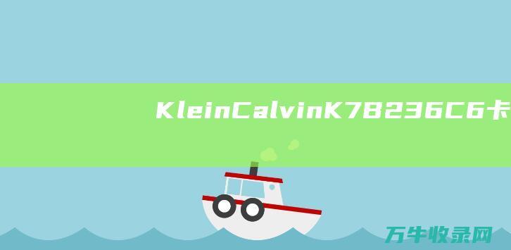 Klein Calvin K7B236C6 卡尔文·克莱 男士石英表 (KleinCalvin)