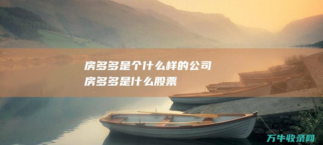 房多多是个什么样的公司 (房多多是什么股票)