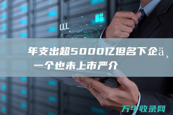 年支出超5000亿 但名下企业一个也未上市 严介和掌控4万亿资产 (年支出超过10万元限额怎么办)