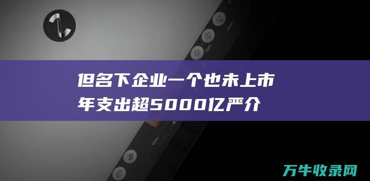 但名下企业一个也未上市 年支出超5000亿 严介和掌控4万亿资产 (但名下企业一直没交税)