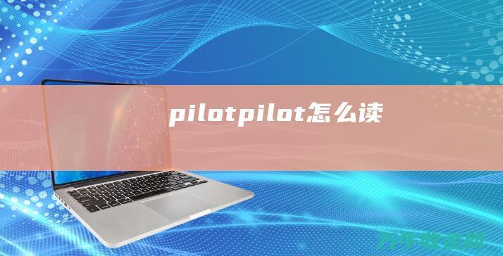 pilotpilot怎么读