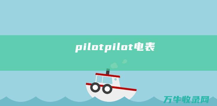 pilotpilot电表